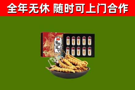 宝应县回收冬虫夏草价格